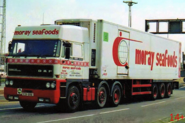01-5498 Масштабная модель Рефрижераторный прицеп DAF 3300 SPACE CAB 6X2 в масштабе 1 50