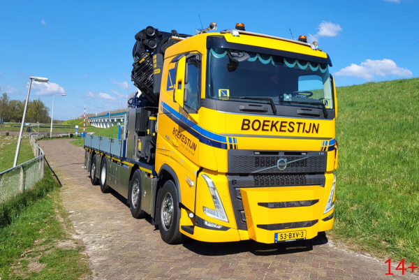 01-4960 Масштабная модель Манипулятор VOLVO FH 5 SLEEPER CAB RIGED FLATBED TRUCK 8X24 в масштабе 1 50